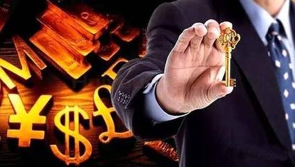 北京鸿晟兴业信息咨询服务有限责任公司 金融信息咨询的专业服务