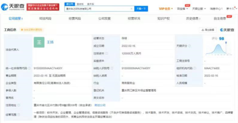 理想汽车12亿重庆设立科技新公司，跨界金融信息咨询将带来什么？